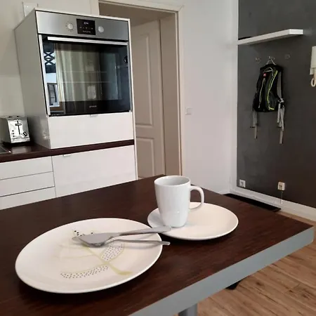 Business-lodging Apartmenthaus 公寓 霍格伦兆森