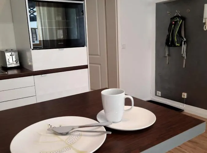 Business-lodging Apartmenthaus Appartement Höhr-Grenzhausen