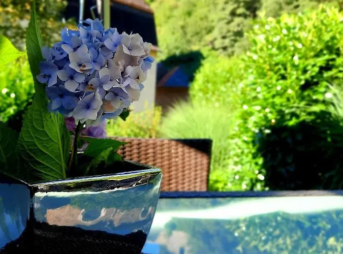 Business-lodging Apartmenthaus Appartement *